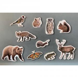 Set animales del bosque magnéticos 10 piezas