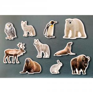 Set animales polares magnéticos 10 piezas