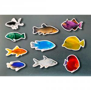 Set peces de colores magnéticos 10 piezas