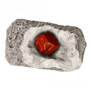 Set de excavación minerales y fósiles