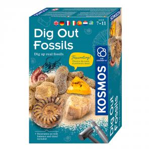 Set de excavación Dig out fósiles