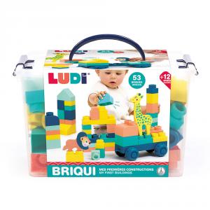 Mi primer set de construcción Briqui 53 piezas  1 vehículo  2 animales