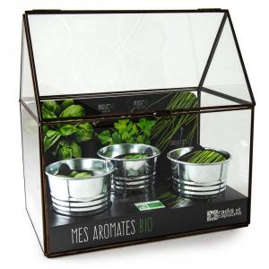 Kit de cultivo invernadero cristal aromáticas bio con 3 macetas metal