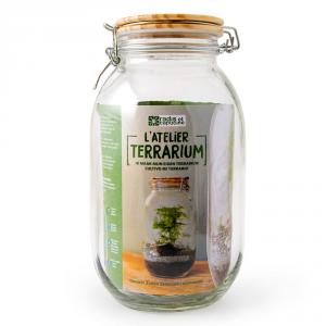 Kit de cultivo Terrarium tarro de cristal espárragos