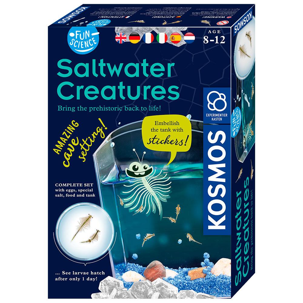 Saltwater creatures