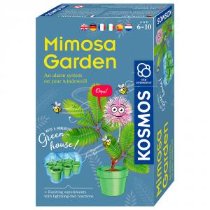 Mimosa garden kit cultivo mimosas