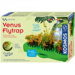 Venus flytrap kit cultivo planta carnívora