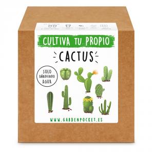 Kit siembra brotes pocket cactus