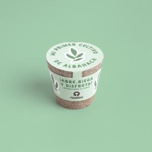 Kit de cultivo Mi primer cultivo de albahaca