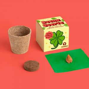 Kit de cultivo trébol de 4 hojas Buena Suerte