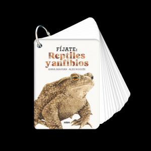 Fíjate: reptiles y anfibios