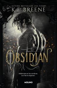 Los fae de las sombras 1 - Obsidian