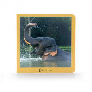 Los Animales Salvajes