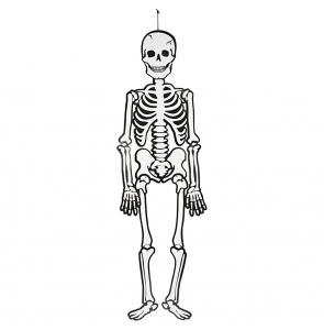 Esqueleto cartón 120cm para colgar 300gr Halloween brilla en la oscuridad