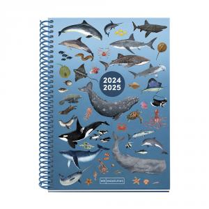 Agenda espiral Plus Ocean semana vista 2024-2025