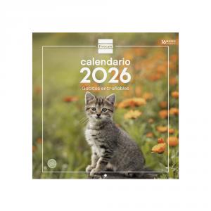 Calendario pared 30x30 gatitos 2026