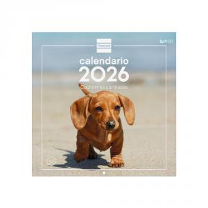Calendario pared 30x30 cachorros 2026