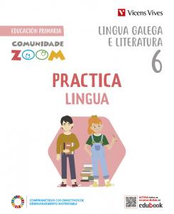 Practica Lingua 6 (Comunidade Zoom)